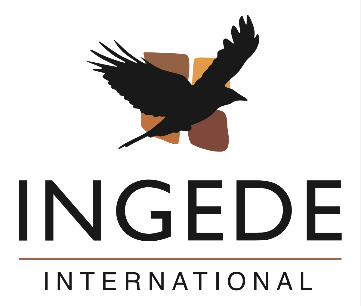 INDEGE International